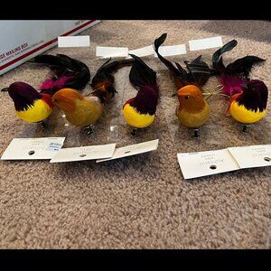 Ashland: 4" FEATHER BIRD CLIP ORNAMENTS